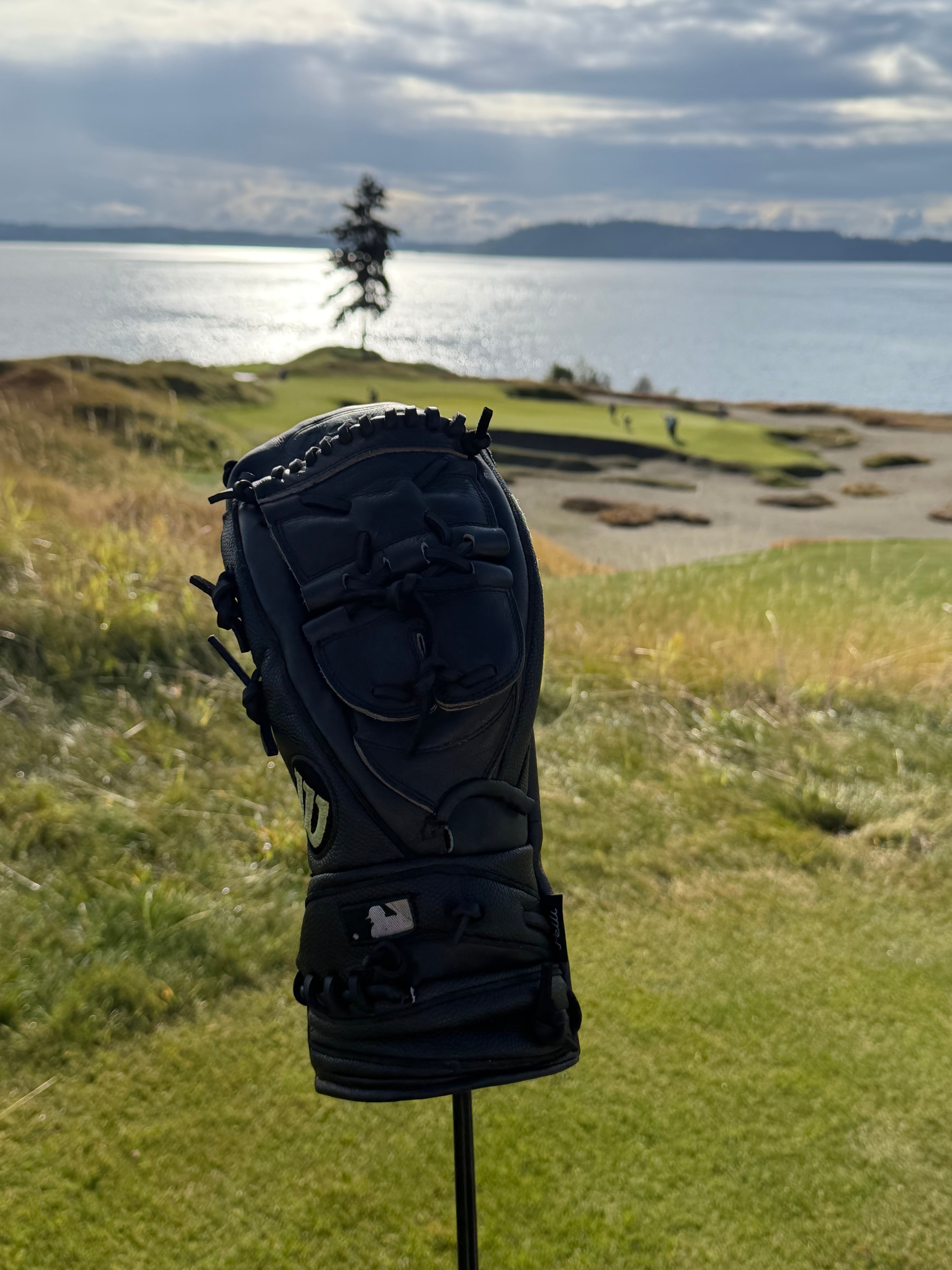 Custom Pelli headcover, one-of-one design